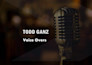 provide a professional voice over